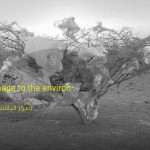 Plastic damages on the desert environment - - اضرار البلاستيك على البيئة الصحراوية