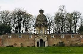 دونمور الأناناس - Pineapple Dunmore