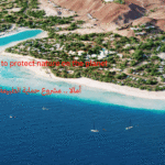 أمالا .. مشروع حماية الطبيعة على كوكب الأرض