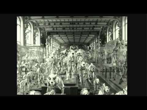 ندوة العمارة: “تقنيات التصميم”