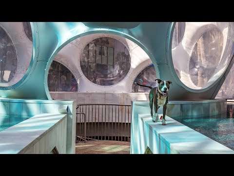 LIVE Miami Design District: الهندسة المعمارية والتصميم وتناول الطعام والتسوق