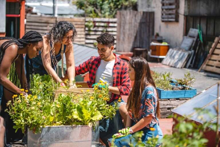 ما الذي يمكن أن يفعله التصميم لمساعدة حركة العدالة المناخية