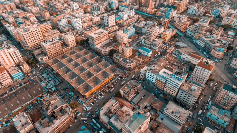 Socialising, Commerce, and Trade: The African Market Hall in a Modernized Word