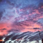 Co-founder and President Diana Darling tells the story of AN Media Group on the Creating Construction podcast