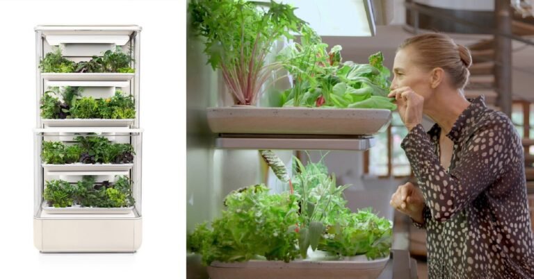 grow your veggies at home with pininfarina’s la grangette home garden