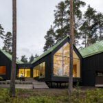 Dogs & Doctors House / Pirinen Salo Oy