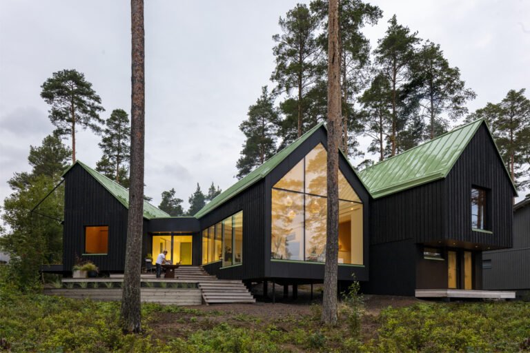Dogs & Doctors House / Pirinen Salo Oy