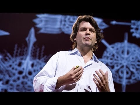 مايكل هانسمير: بناء أشكال لا تصدق