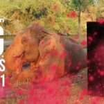 TOP 10 movies of 2021