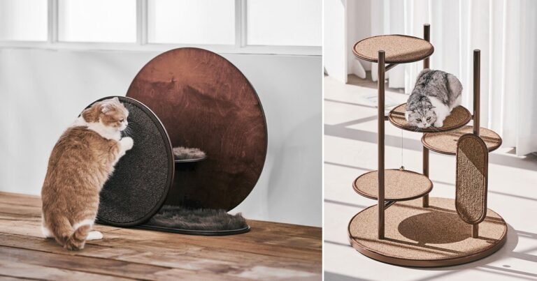 fashionable cat towers and scratchers designed by jiyoun kim studio