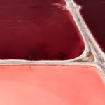 tom hegen creates uncanny fields with aerial images of utah’s nice salt lake