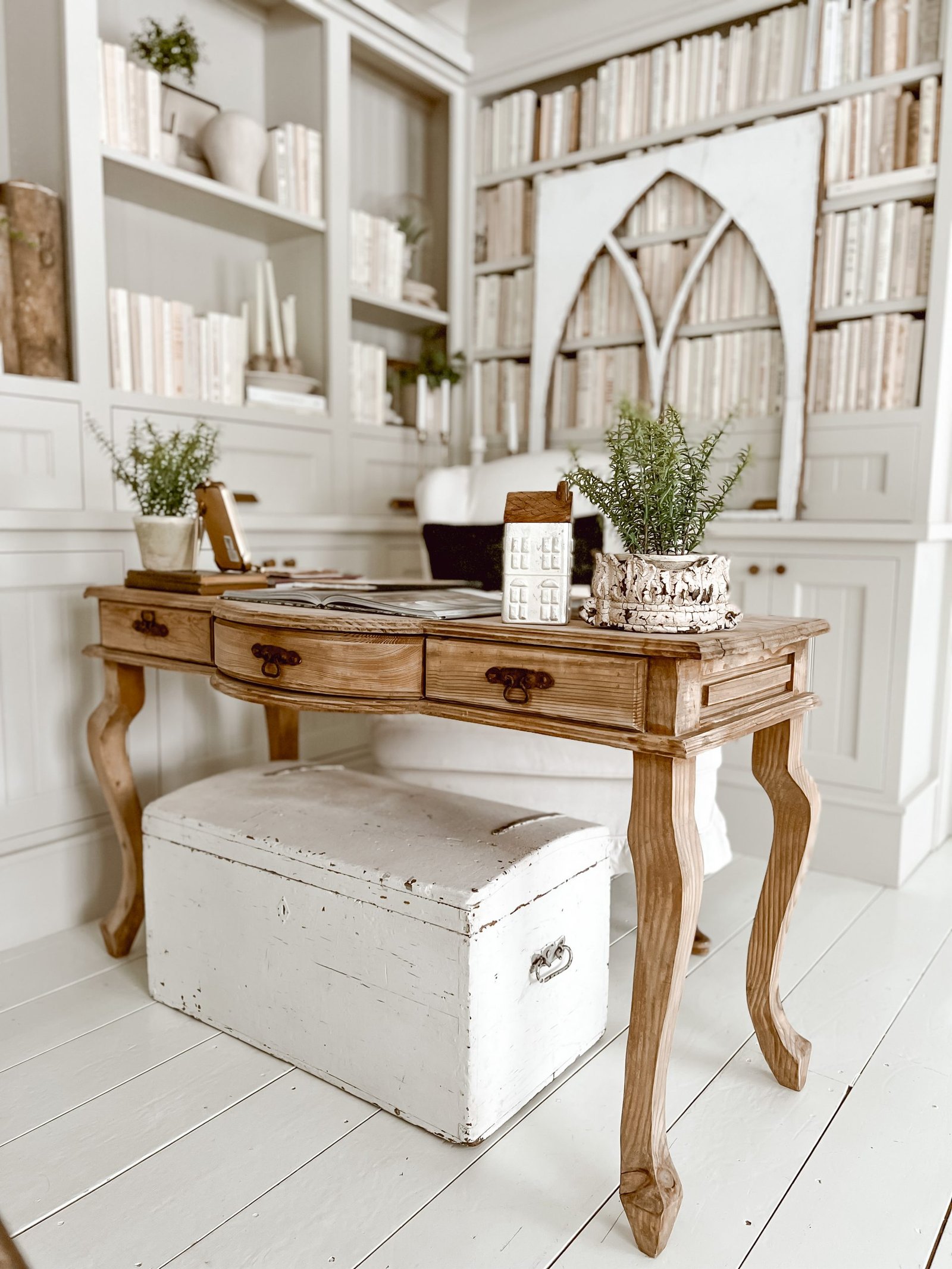 أفضل النباتات فو - مدونة ليز ماري