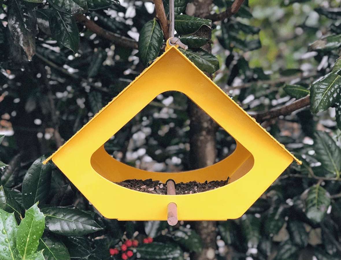 تغذية الطيور الحديثة