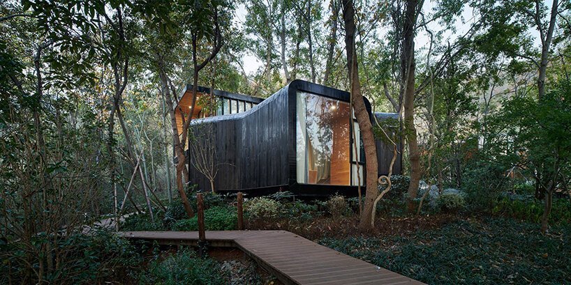 مجموعة من الكبائن الشبيهة بالفروع تجعل سكانها أقرب إلى الطبيعة