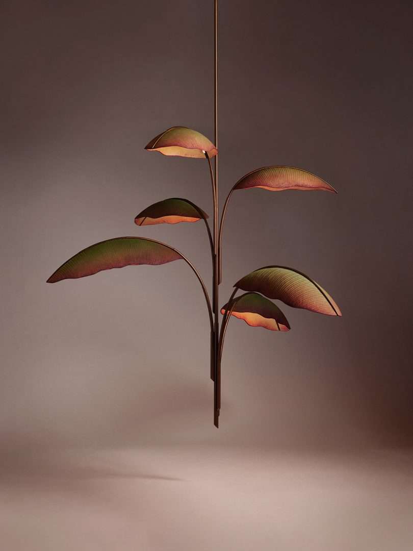 ثريا تشبه النخيل