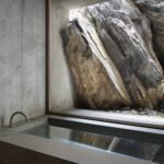 عودة الحوض: أنماط البانيو التقليدية في تصميم الحمام المعاصر ، ملجأ Lieptgas / Georg Nickisch + Selina Walder.  صورة © رالف فينير