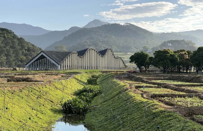 Taoranxu Village Truthful / Design Middle of Haoyuan Group