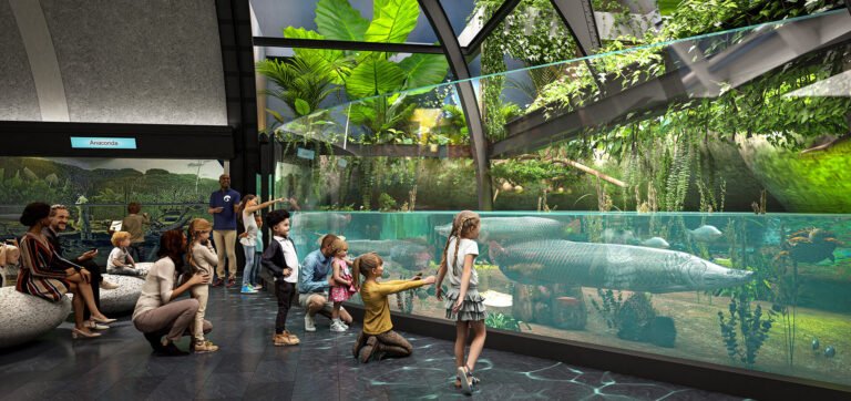 Chicago’s Shedd Aquarium publicizes $500 million makeover forward of its one hundredth anniversary