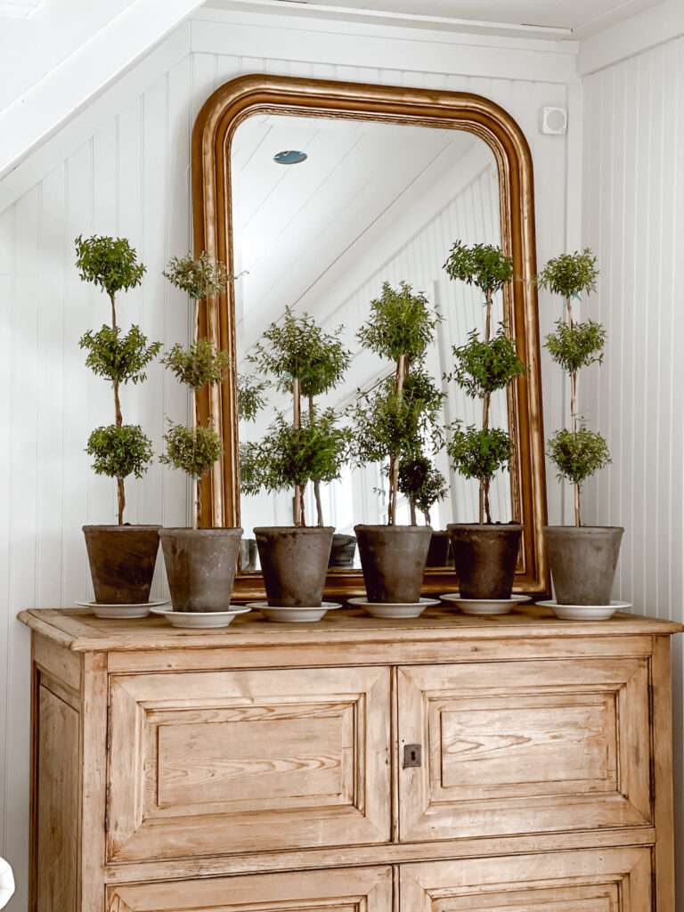 30+ توبياري حقيقي وزائف
