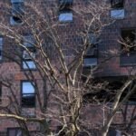Lethal NYC Condominium Fireplace Underscores the Hazard Posed by House Heaters