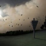 8 Famend Architects Design Birdhouses to Discover the Relationship between Structure and Nature