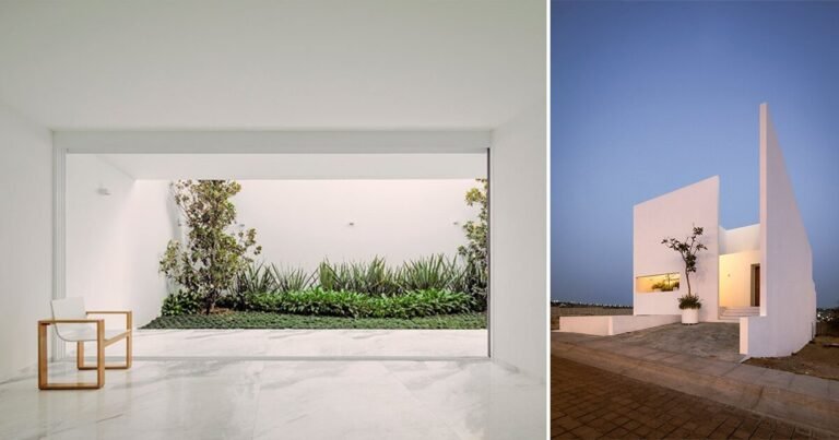 reduce out patios add inexperienced pops into cota paredes arquitectos’ la piedad home in mexico