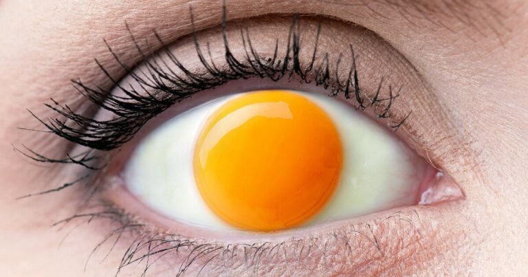 eyes develop into home windows to nature – and eggs – in jyo john mulloor’s digital art work