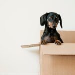 67 Finest Housewarming Presents to Have a good time That New Residence