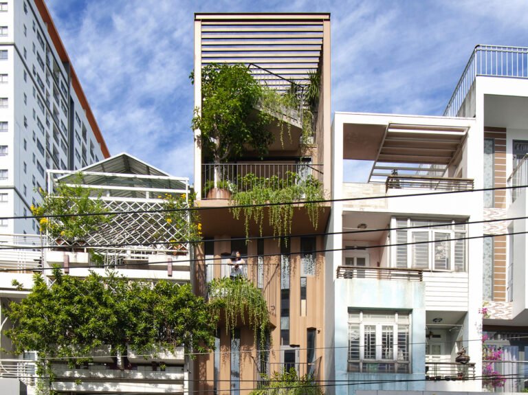 Tree-Home / ROOM+ Design & Construct