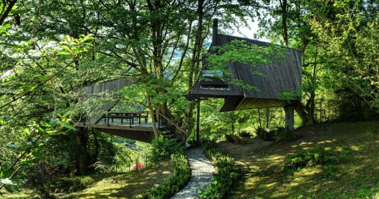 shaygan gostar designs treehouse in iran to evoke pure department traces