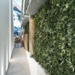 ممر المدخل بجدار نباتي أخضر ومناور زجاجية