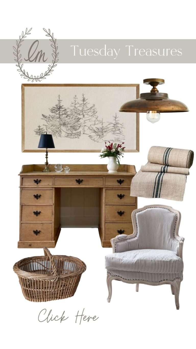 كنوز الثلاثاء 24 - مدونة ليز ماري
