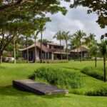 Tour Aerin Lauder’s Indoor-Out of doors Tropical Escape