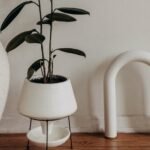 The Finest Exercise Gear to Keep Optimistic