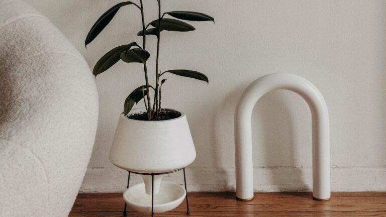 The Finest Exercise Gear to Keep Optimistic