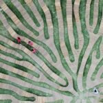 Enter Design Vanguard