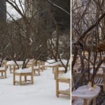 artwork set up in madison sq. examines inherent tensions within the american training system