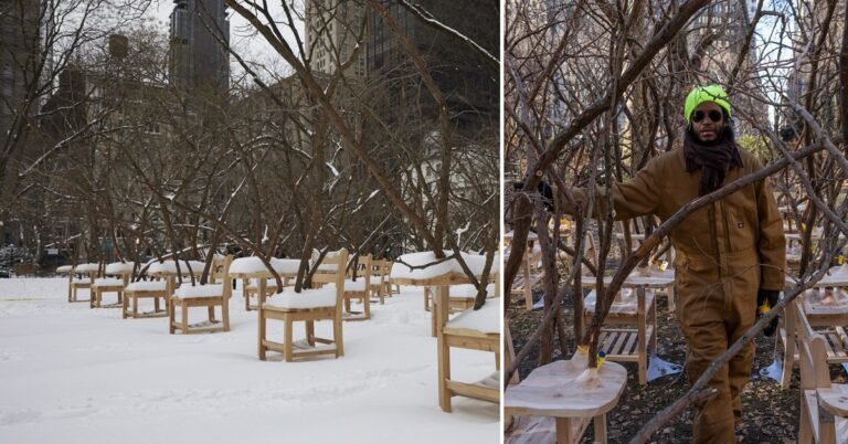 artwork set up in madison sq. examines inherent tensions within the american training system