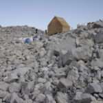 SkinOver Reed / IBBTE University of Stuttgart