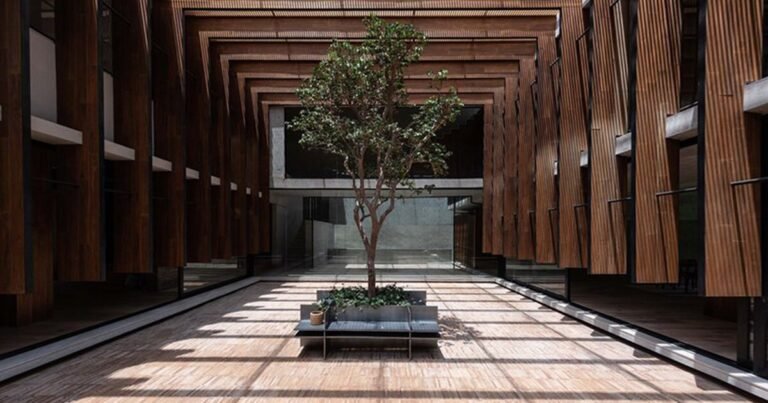 a 70-year-old guava tree becomes the central axis of ‘casa patio del guayabo’ in mexico