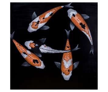  KOI II من Novocuadro |  Architonic
