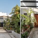 misael marin transforms mexican warehouse into plant-filled inn