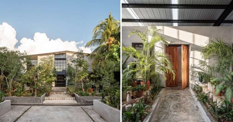 misael marin transforms mexican warehouse into plant-filled inn