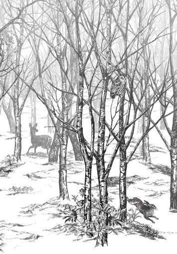  Foret Enchantee من ISIDORE LEROY |  Architonic
