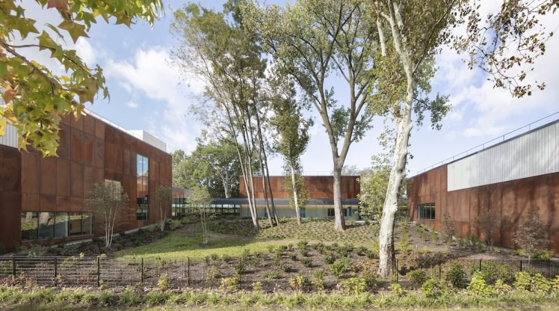 DMTV اللبن المخفوق ليسا بذلك