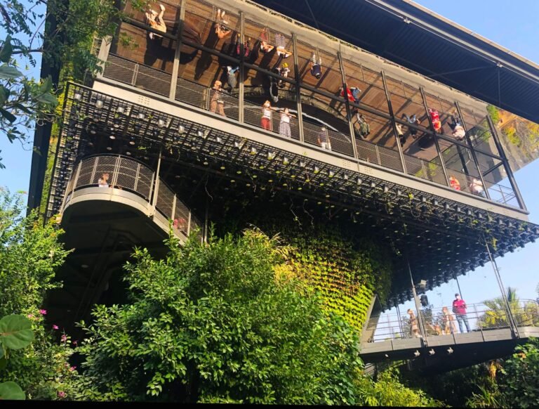 Suspended in a Spectacle: Public Diplomacy at Expo 2020 Dubai