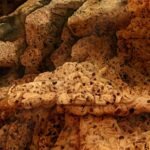 angelo musco’s latest piece depicts thousands of nude bodies forming a vast landscape