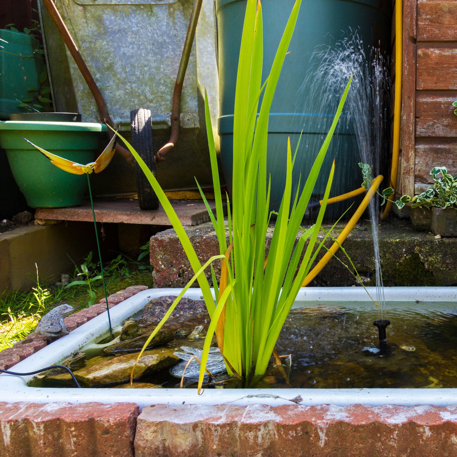 بركة صغيرة مصنوعة من حوض مطبخ قديم