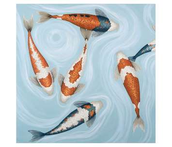 كوي باسيفيك 1 من نوفوكوادرو | Architonic