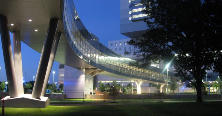 Dissolving Diversity Disparities: 3 Architecture Scholarships for Black Designers in 2023